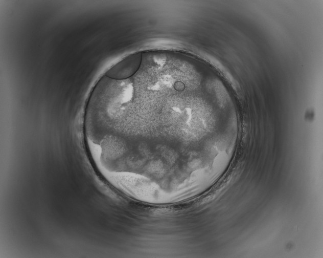 X0000102501421200809051335