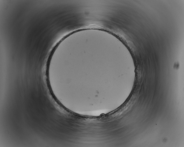 X0000102501422200809051335