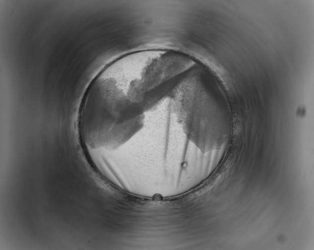 X0000102501423200809051335