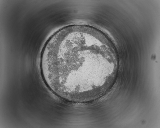 X0000102501424200809051335