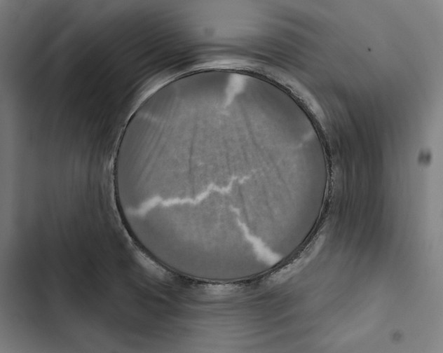 X0000102501425200809051335