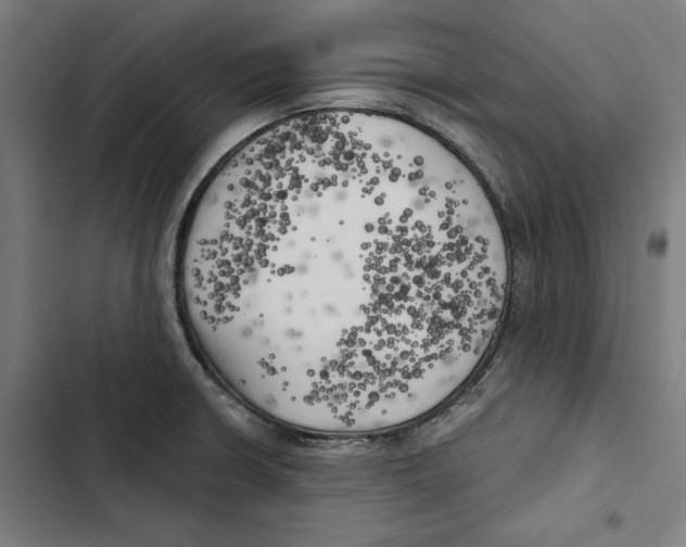 X0000102501426200809051335