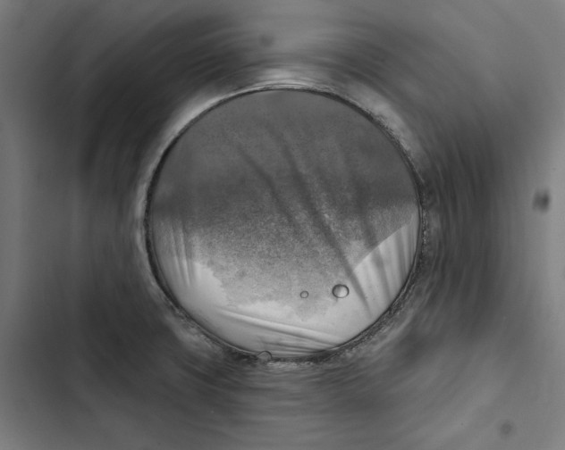 X0000102501427200809051335