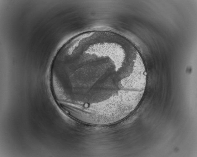 X0000102501430200809051335