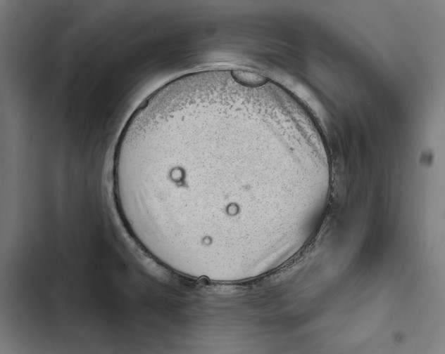 X0000102501431200809051335