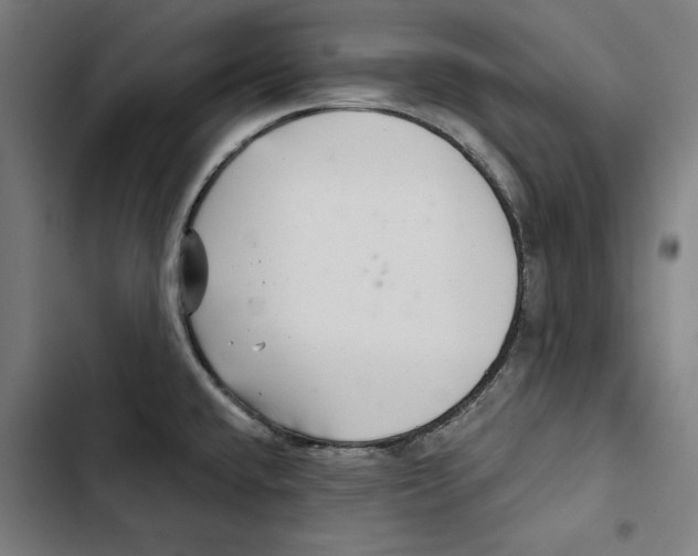 X0000102501432200809051335