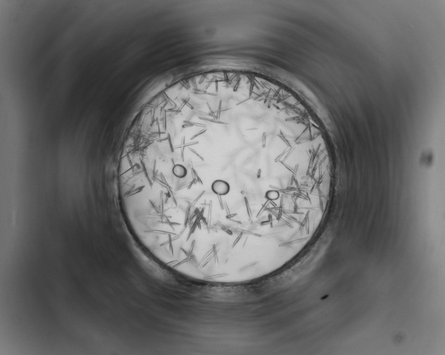 X0000102501433200809051335