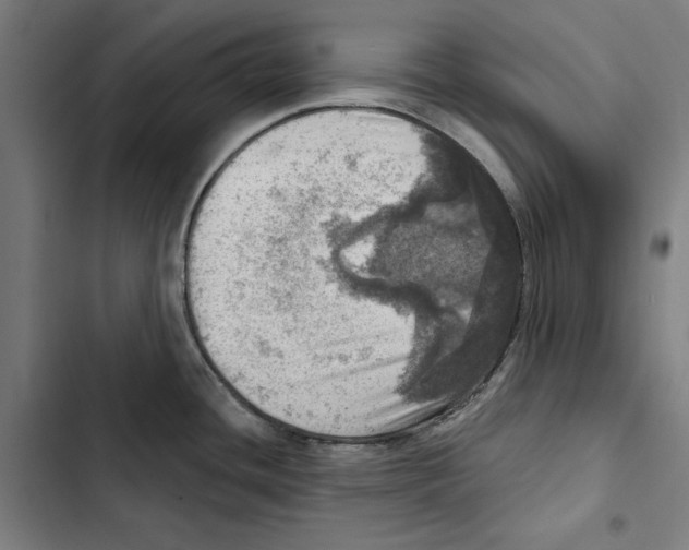 X0000102501436200809051335