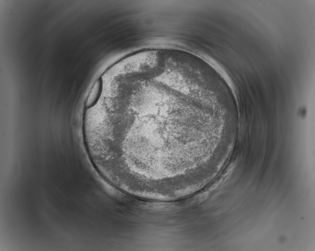 X0000102501437200809051335