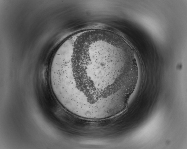 X0000102501438200809051335