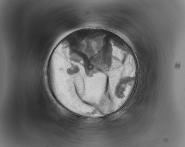 X0000102501440200809051335