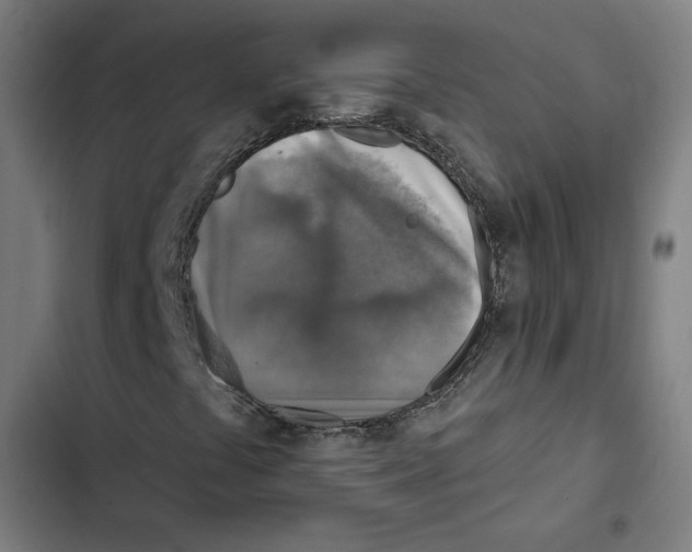 X0000102501441200809051334