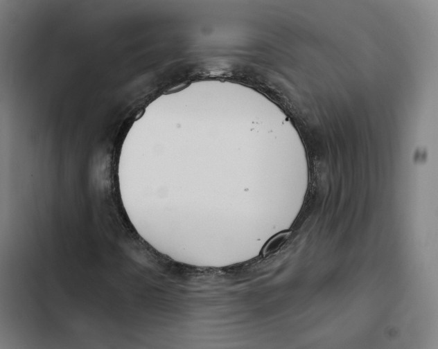 X0000102501442200809051334