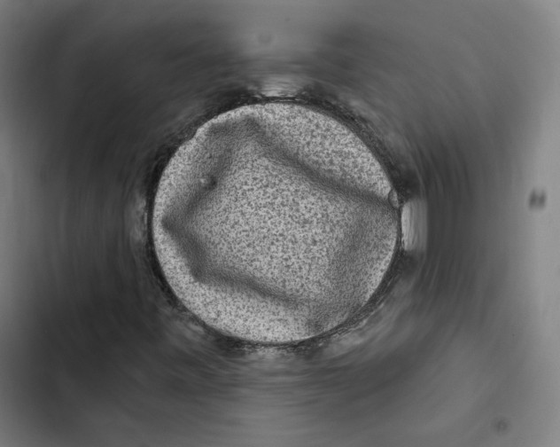 X0000102501443200809051334