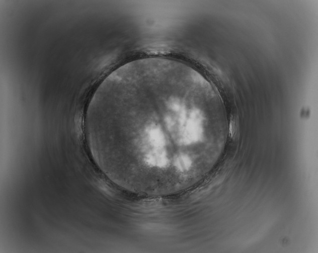 X0000102501444200809051334