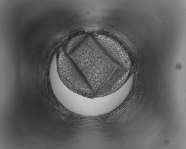 X0000102501445200809051334