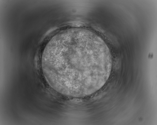 X0000102501446200809051334