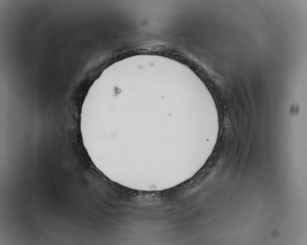 X0000102501447200809051334