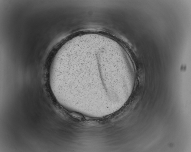 X0000102501448200809051334