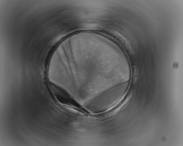 X0000102501449200809051334