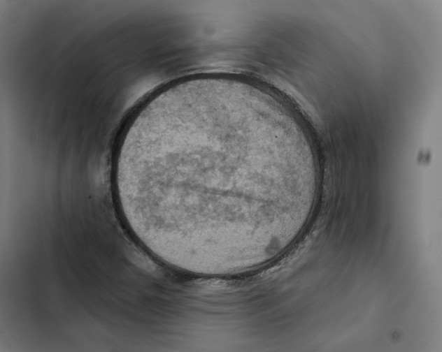 X0000102501450200809051334