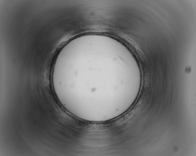 X0000102501451200809051334