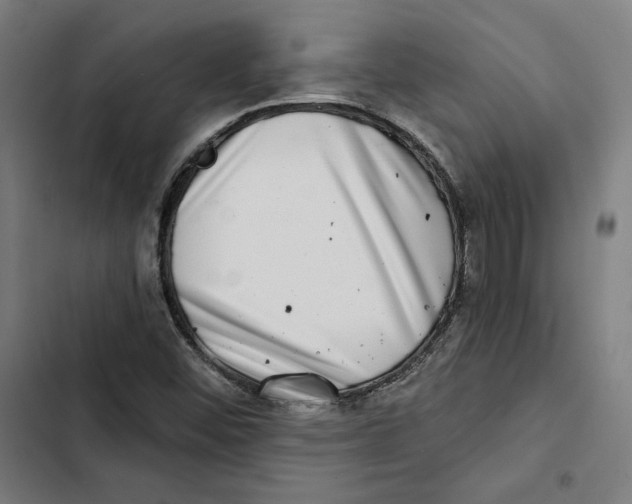 X0000102501452200809051334