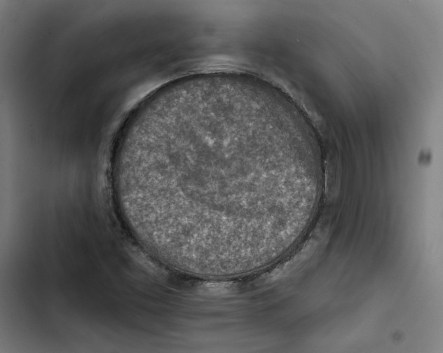 X0000102501453200809051334