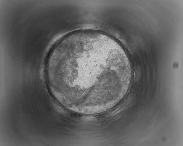 X0000102501454200809051334