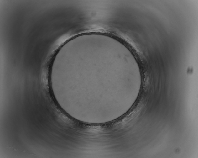 X0000102501455200809051334