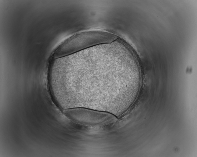 X0000102501456200809051334