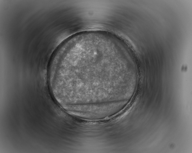 X0000102501457200809051334