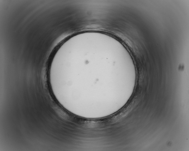 X0000102501458200809051334