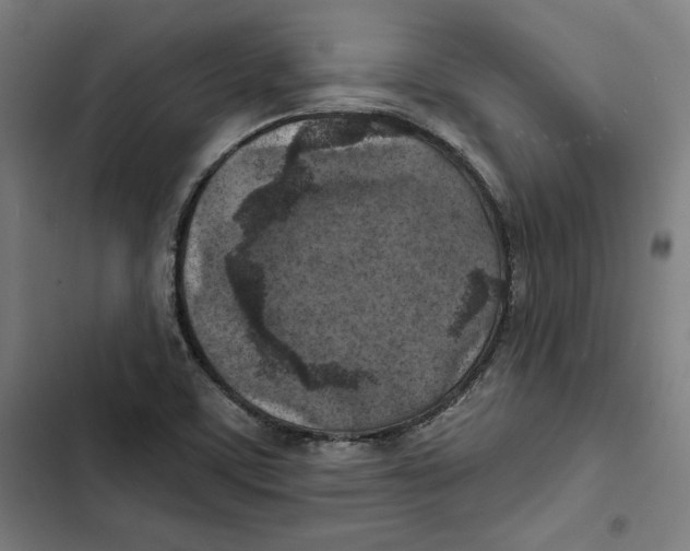 X0000102501459200809051334