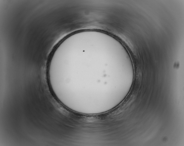 X0000102501460200809051334