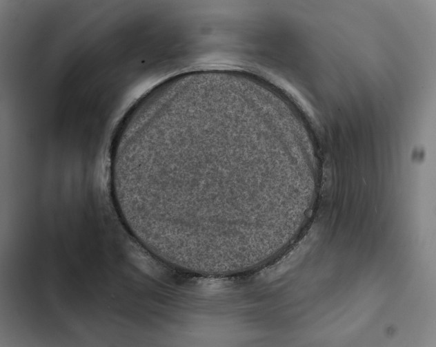 X0000102501461200809051334