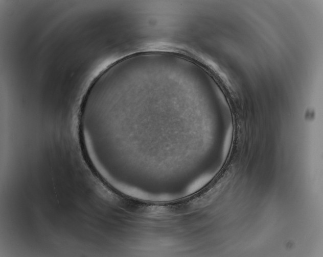 X0000102501463200809051334