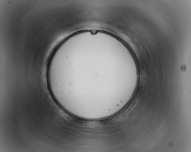 X0000102501464200809051334