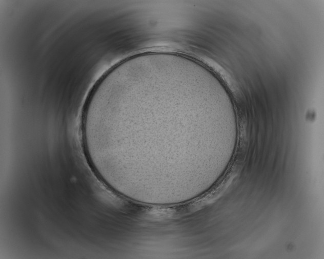 X0000102501466200809051334