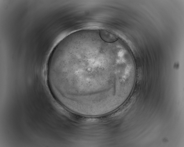 X0000102501467200809051334