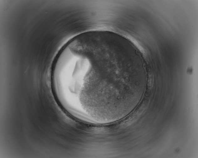 X0000102501468200809051334