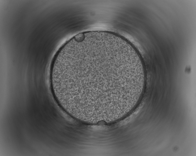 X0000102501469200809051334