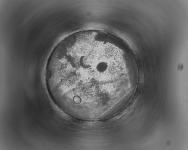 X0000102501471200809051334