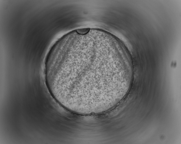 X0000102501472200809051334