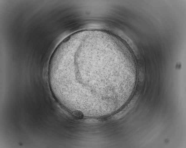 X0000102501473200809051334