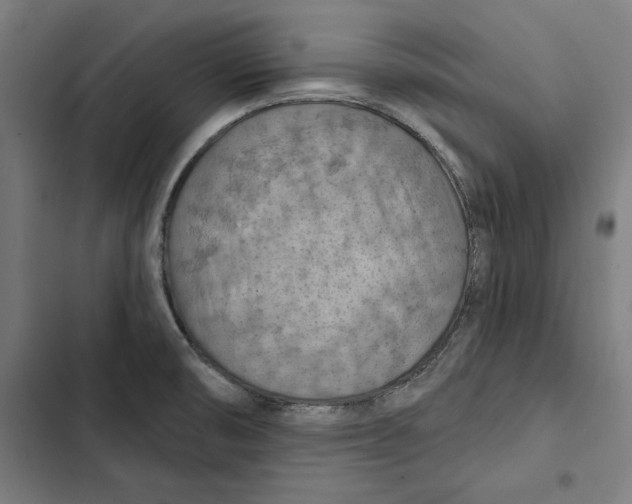 X0000102501474200809051334