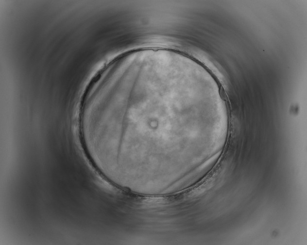 X0000102501477200809051334