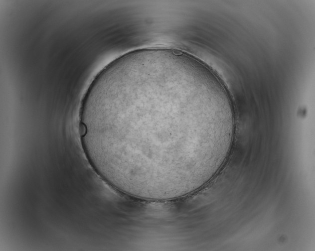 X0000102501480200809051334