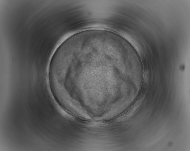 X0000102501482200809051334