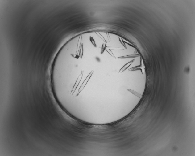 X0000102501483200809051334